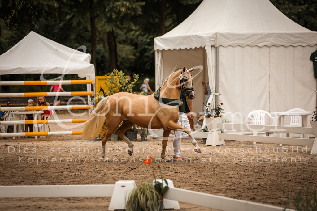 10.-12.Elite00147 | Leoni Ertmer Photography - Realisiert mit Pictrs.com