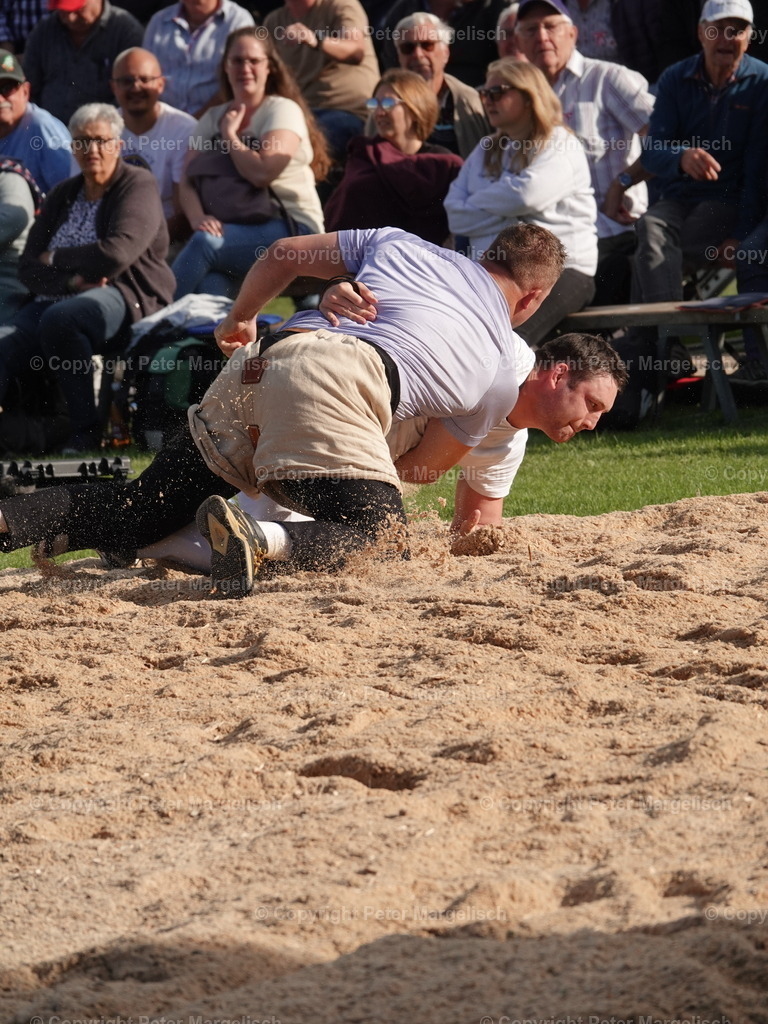 DSC05635 | Schwingen - Realisiert mit Pictrs.com