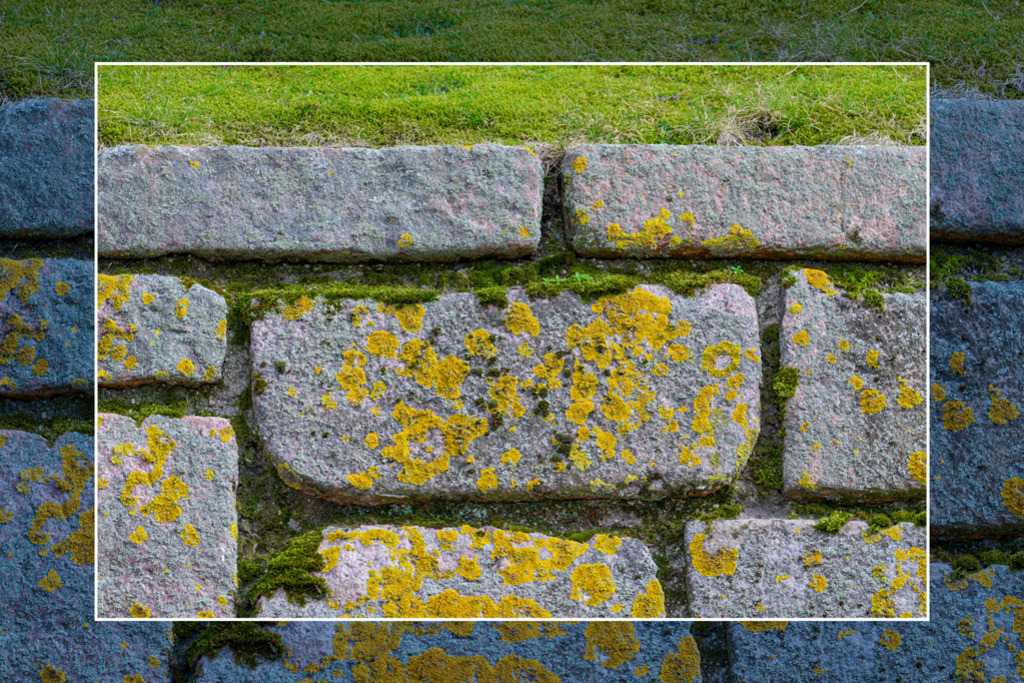 mauer-mit-flechten-dom-vb | Entdecken Sie hochwertige Kunstdrucke im Online-Shop von Rainer Plett. Die Fotografien umfassen norddeutsche Landschaften, Blumen, Tiere, Natur und Sehenswürdigkeiten. Erfreuen Sie sich an auserlesenen Motiven aus Schleswig-Holstein und Hamburg. - Realisiert mit Pictrs.com