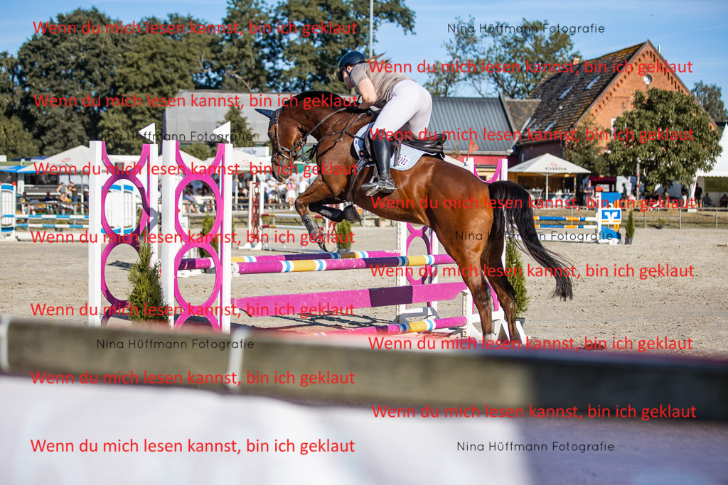 BK1A7716 | Turnierbilder Turnierfotos Nina Hüffmann Turnierfotografie Pferdefotografie Tierzeichnung Haustierzeichnung Pferdezeichnung Hundezeichnung Videograf  - Realisiert mit Pictrs.com