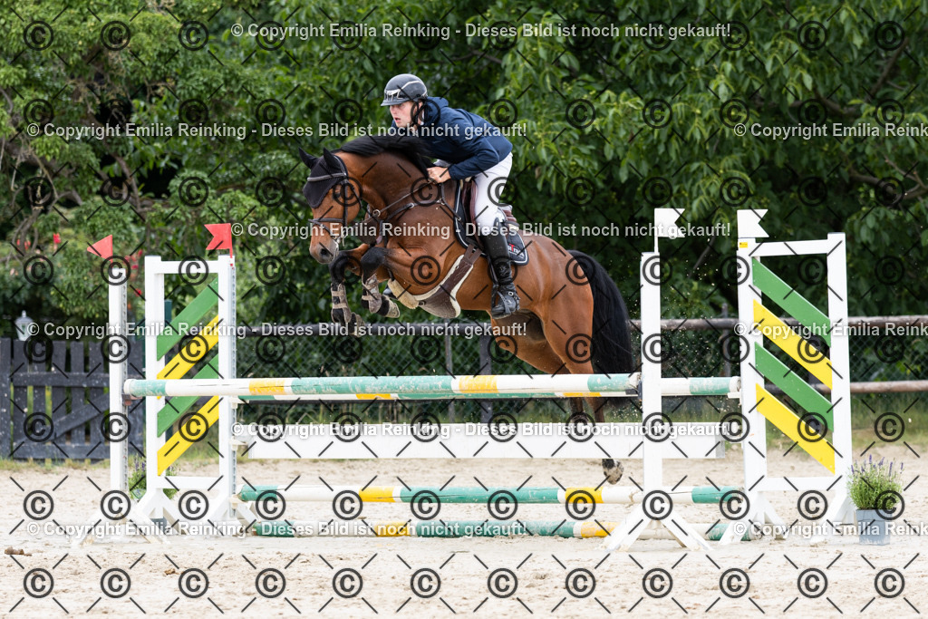 CL5A5134 | Emilia Reinking Fotografie - Realisiert mit Pictrs.com