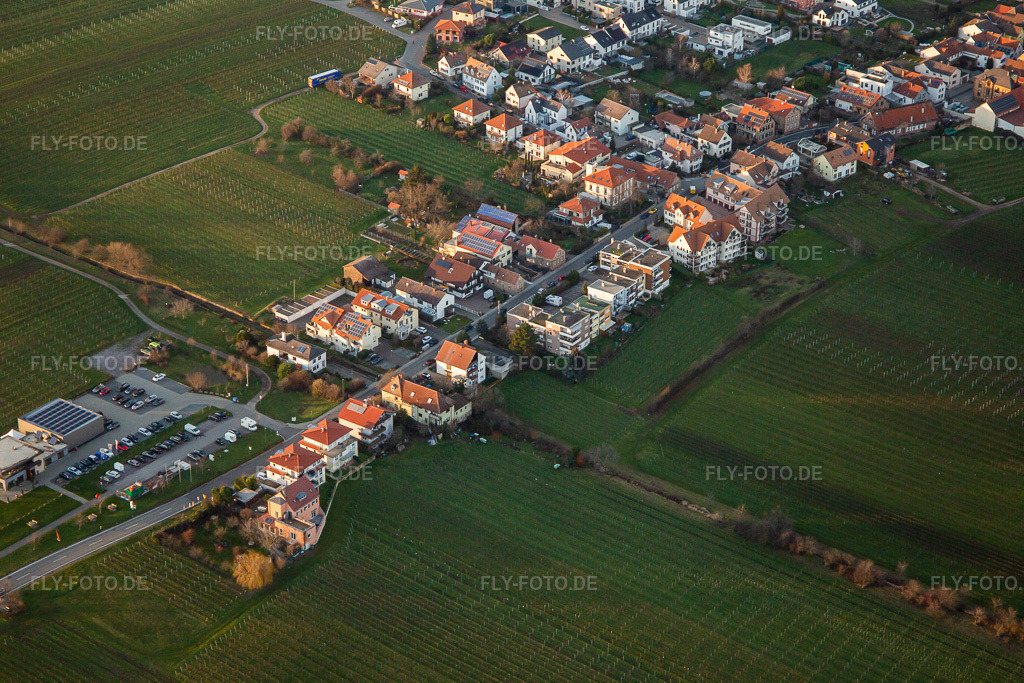 Luftbild: Weinstraße im Ortsteil Diedesfeld in Neustadt im Bundesland Rheinland-Pfalz in Deutschland. Foto: IMG_135870.jpg vom 18.01.2023 durch Werner Riehm/FLY-FOTO.deWWW.DIEDESFELD.DE