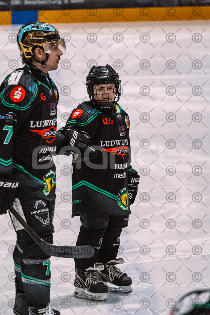 Alligators_vs_Bayreuth_16_01_2026-13 | Höchstadt Alligators Fotogalerie: Eishockey-Action aus Franken. Professionelle Spielfotos, Portraits & Stadionbilder zum Download. Jetzt entdecken! - Realisiert mit Pictrs.com