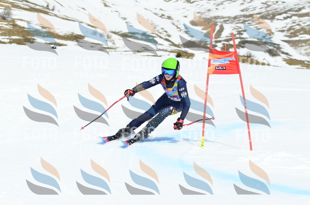 _ELE2338 | holidayphoto