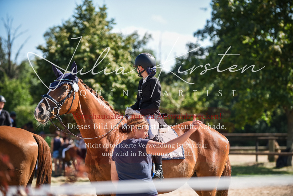 DSC_9695 | Pferde- und Turnierfotografie in Westsachsen. Pferdeportraits, Auftragszeichnungen und intuitive Kunst.