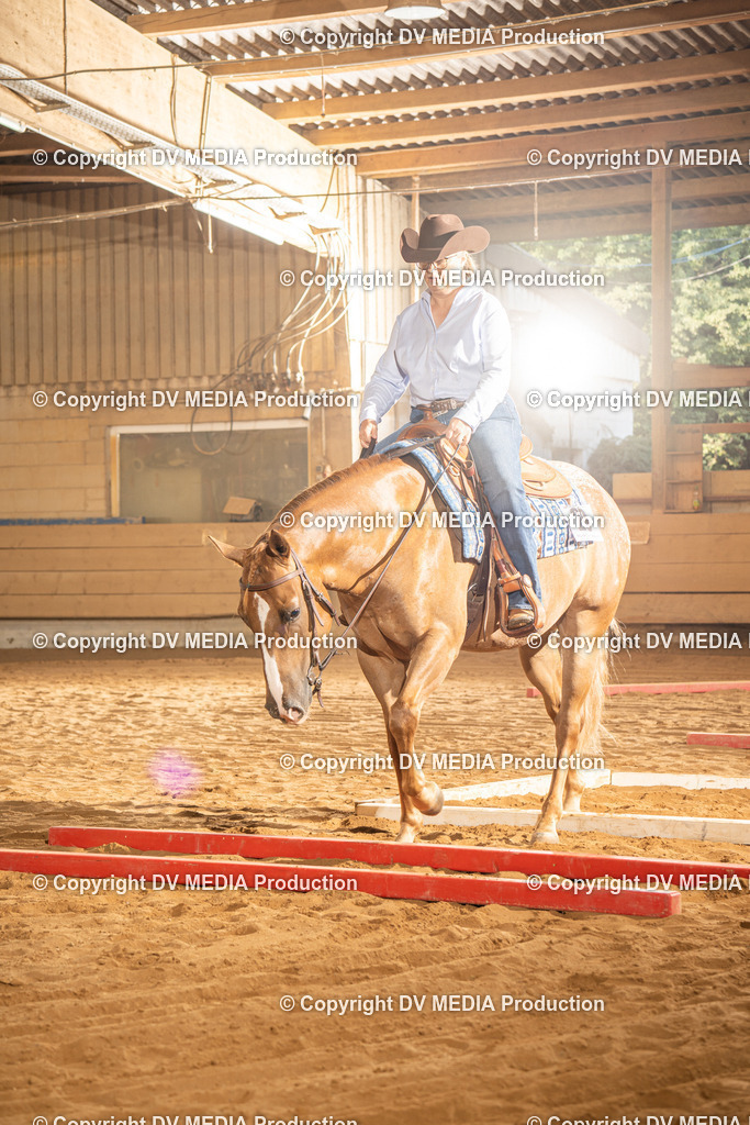 NID02598 | dv-media-shop - Realisiert mit Pictrs.com