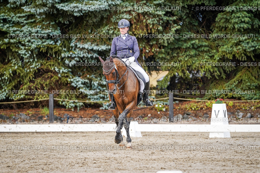 DSC00293 | Pferdegrafie