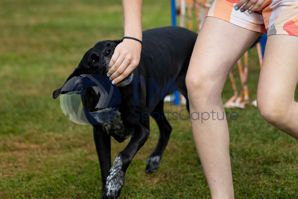 TP-20240815-0052 | Copyright: Trainproduction / Matthias Trinkl