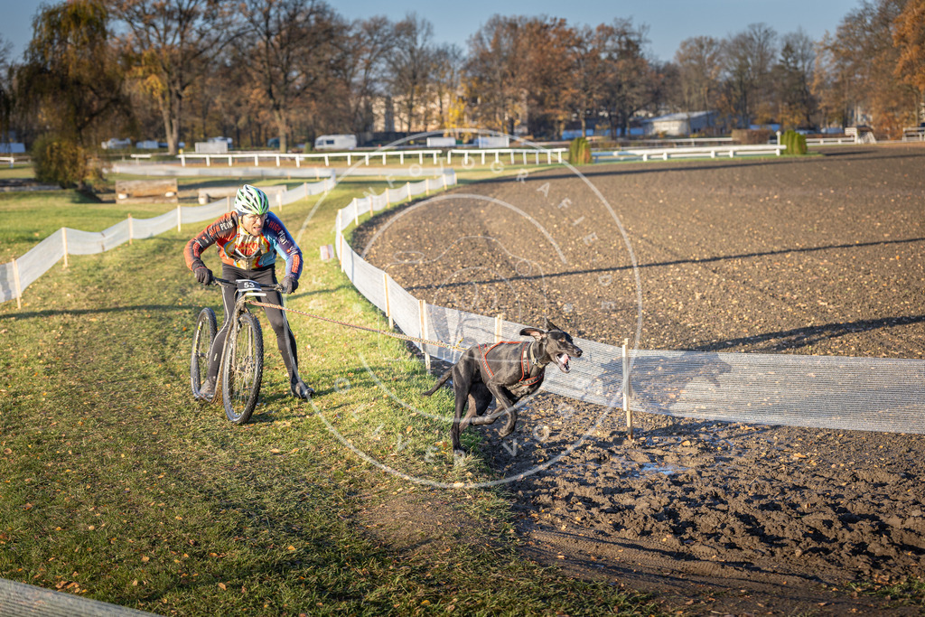 CaniXpix_DV3A0628 | Hundefotografie, Tierfotograf, Pfotenfotografie, Fotoshooting Hund, Hunde Portrait, Hundesport, Hundeportraits, Heideshooting, Hunde, Sportfotograf, Hundefotograf, Turnierhundsport, THS,  - Realisiert mit Pictrs.com