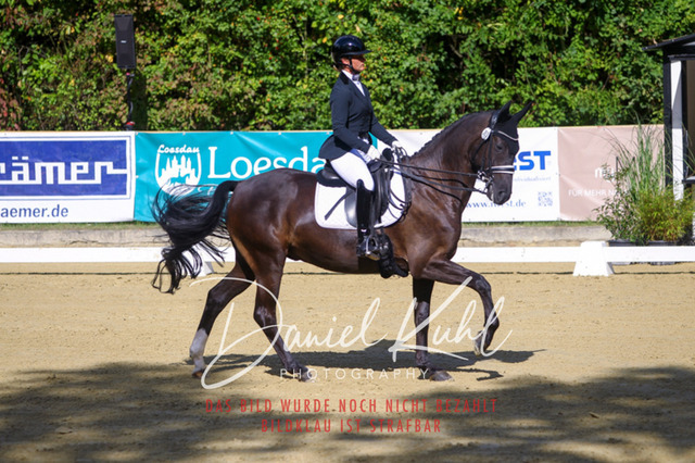 DKP40812 | Turniersportfotografie; Pferdefotografie; Dressurfotografie