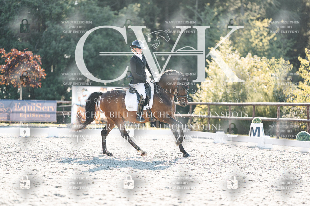 CK907103 | Turnierfotografie Pferdefotografie Trier Rheinland-Pfalz Pferdesport Reitsport Tierfotografie Sportfotografie Pferdevideo Pferdevideografie Equestrianvideography equestrianphotography  - Realisiert mit Pictrs.com