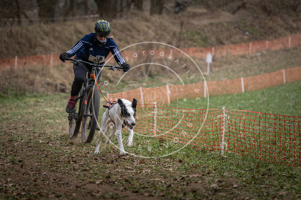 Pfotenfotografie_DV3A9835 | Hundefotografie, Tierfotograf, Pfotenfotografie, Fotoshooting Hund, Hunde Portrait, Hundesport, Hundeportraits, Heideshooting, Hunde, Sportfotograf, Hundefotograf, Turnierhundsport, THS,  - Realisiert mit Pictrs.com