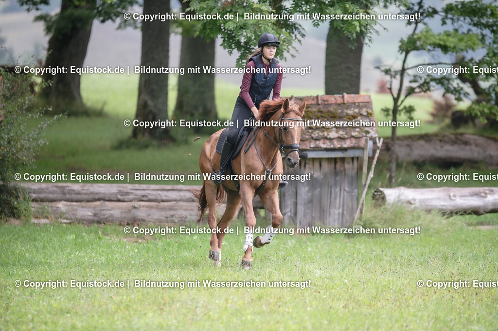 20250726_Vielseitigkeitslehrgang-Marbach_0174 | Foto: Thomas Hartig