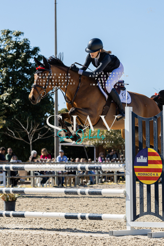 IMG_0881 | s-jay-photography - Realisiert mit Pictrs.com