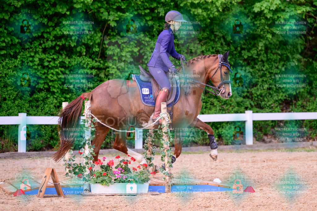 02052026-Giesenbach-03-Speedtrail-1241 | Fokus Hufschlag Fotografie - Realisiert mit Pictrs.com