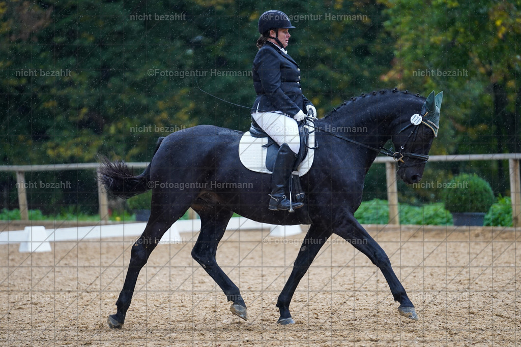 20221008-FAH02030 | Diessen am Ammersee, 2022, Dressur- und Springturnier, Reitsportbilder, Turnierfotografen Bayern, Pferdefotografen, Fotoagentur Herrmann, Turnierbilder