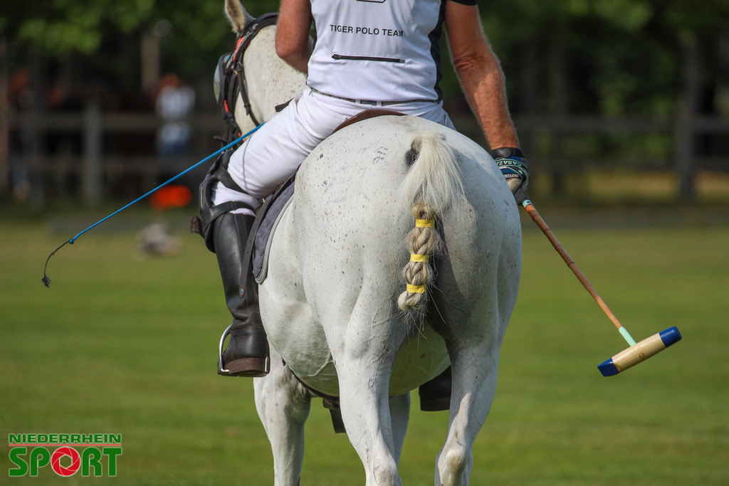 Polo_Willich_070623_158 | Bildergalerie von Sport-Ereignissen aber auch von weiteren spannenden Dingen - nicht nur vom Niederrhein. In Anlehnung an den bekannten Spruch von Hanns Dieter Hüsch heißt das Motto: "Niederrhein ist überall".  - Realisiert mit Pictrs.com