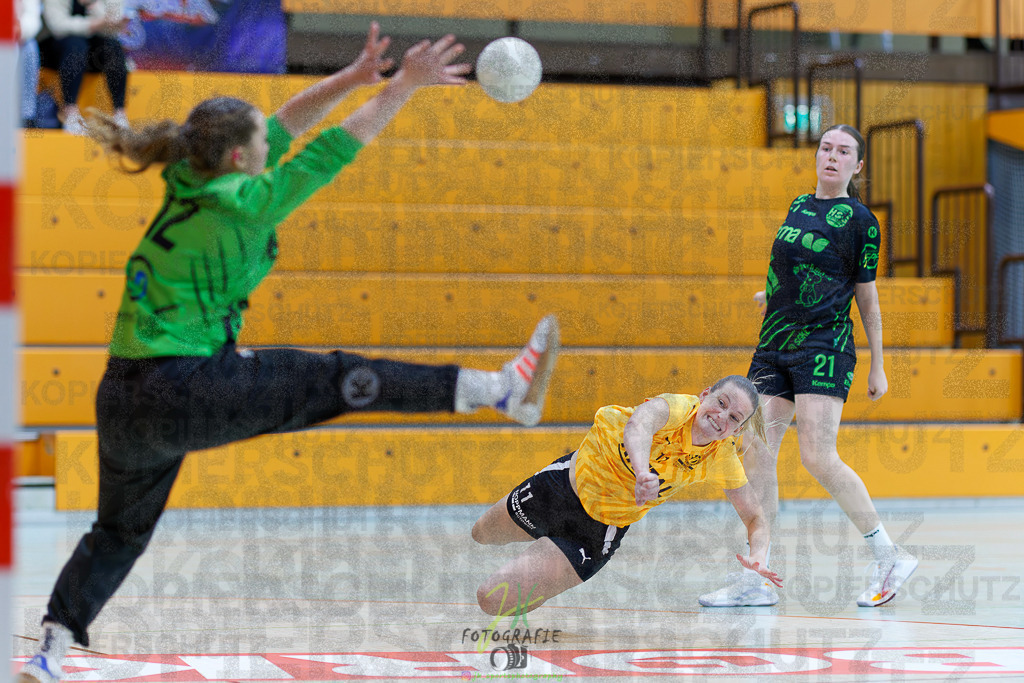 Frauen Oberliga Mitte (HHV); HSG Kleenheim/Langgöns II - HSG Eibelshausen/Ewersbach | Frauen Oberliga Mitte (HHV); HSG Kleenheim/Langgöns II - HSG Eibelshausen/Ewersbach am 01.11.2025 in Oberkleen (Weidig-Halle)Photo © 2025 - Jörg Heinrich - Realisiert mit Pictrs.com