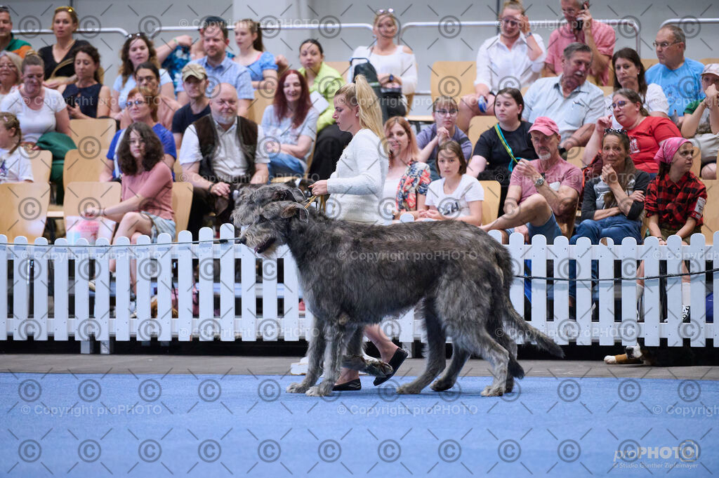 202406_ÖKV-IHA-Tulln24_DSC_3692 | proPHOTO - Realisiert mit Pictrs.com
