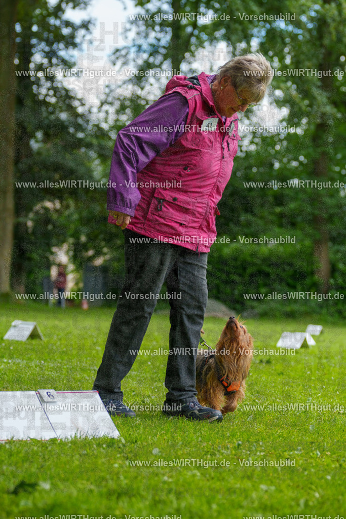 @allesWIRTHgut_Tierfotografie - www.allesWIRTHgut.de - 122213-7R508910 | Professionelle Tierfotografie in Mönchengladbach von Daniel Wirth (allesWIRTHgut). Liebevolle & natürliche Bilder von Hunden & Katzen für unvergessliche Erinnerungen.