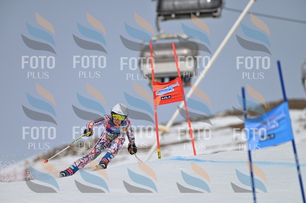 BGV_4967 | holidayphoto