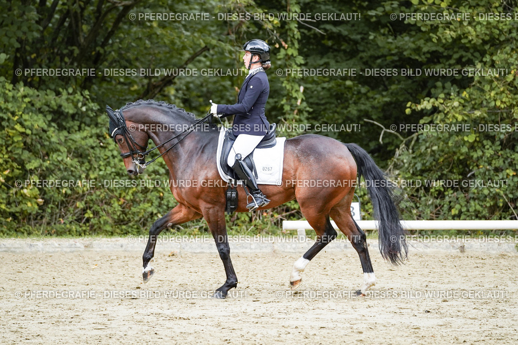 DSC06416 | Pferdegrafie