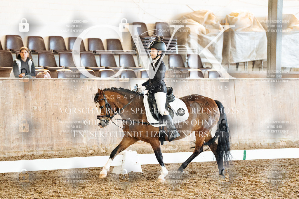 CK900589 | Turnierfotografie Pferdefotografie Trier Rheinland-Pfalz Pferdesport Reitsport Tierfotografie Sportfotografie Pferdevideo Pferdevideografie Equestrianvideography equestrianphotography  - Realisiert mit Pictrs.com