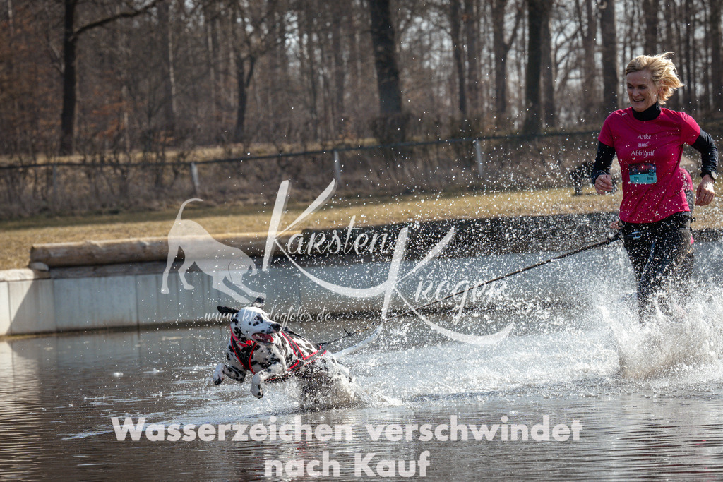 1113_ZZ93134 | kk-dogfotos