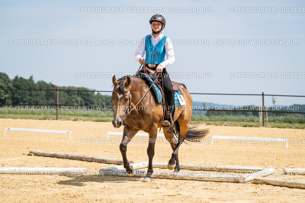 DSC00951 | Pferdegrafie