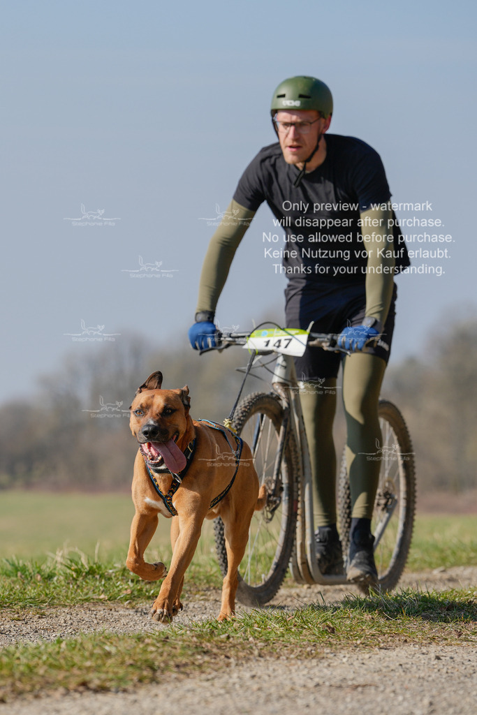 Scooter_Lang-42 | stephaniefillaphotographie - Realisiert mit Pictrs.com