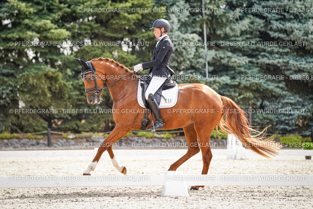 DSC07177 | Pferdegrafie