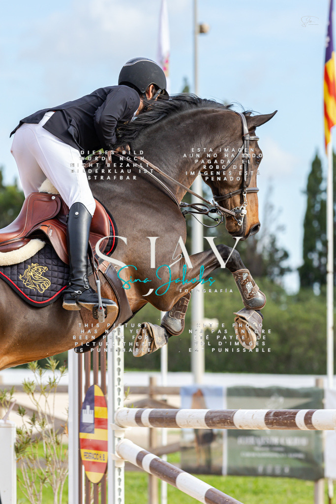 IMG_2439 | s-jay-photography - Realisiert mit Pictrs.com