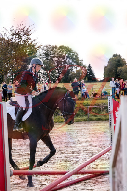 2026_10_03_Siefer-Hof_144014_Z81_10933170 | Professionelle Reitsport-, Turnier- und Eventfotografie von Robert Broda. Galerien mit ausgewählten und bearbeiteten Bildern direkt online ansehen und bestellen.
