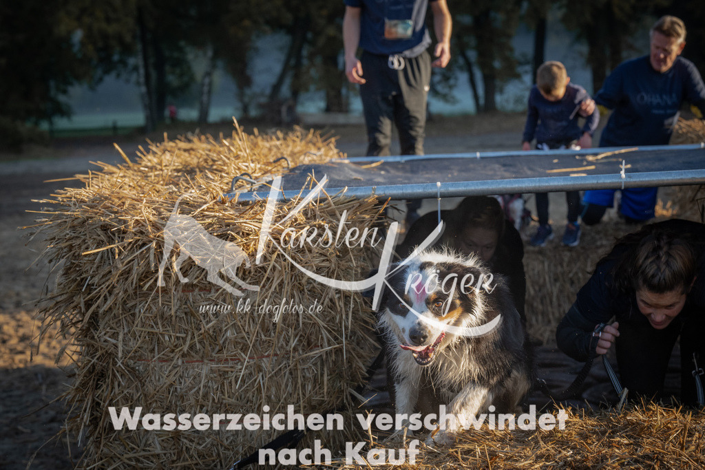 0905_ZZ91208 | kk-dogfotos