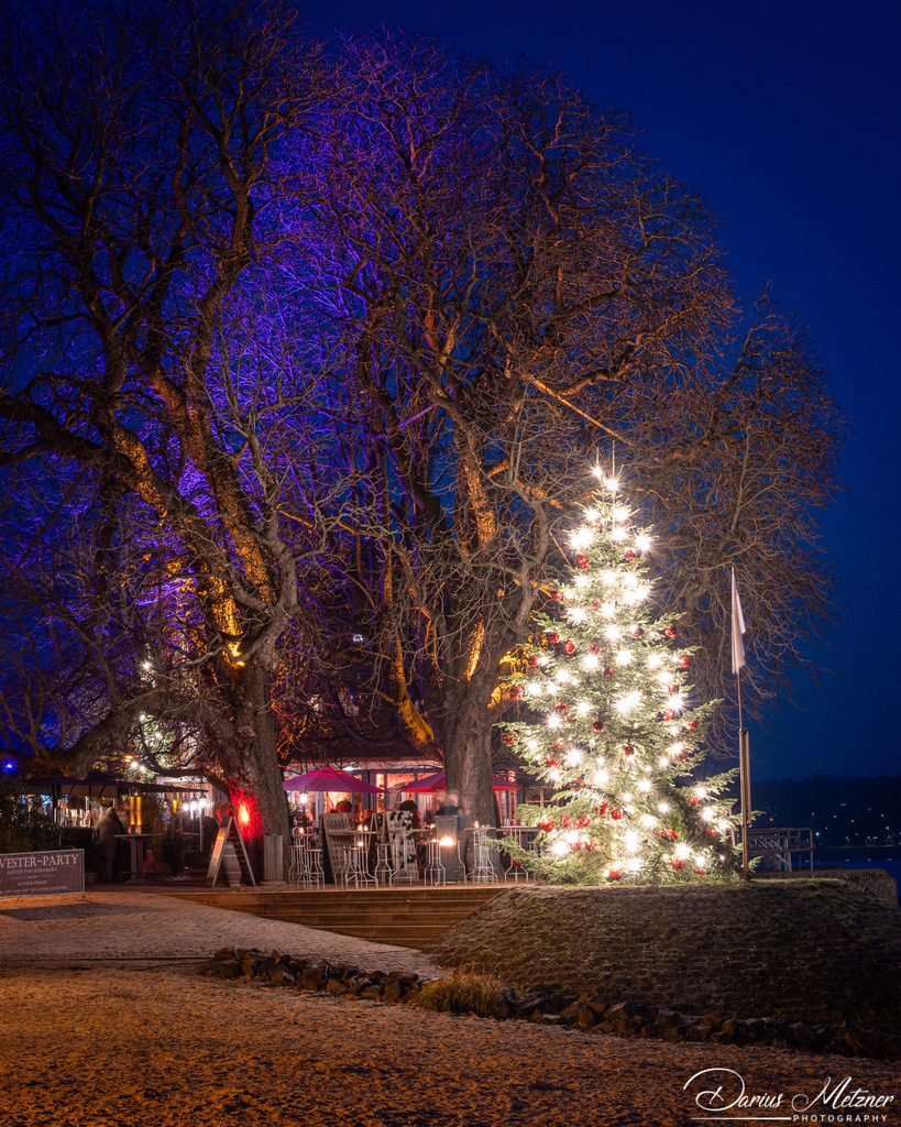 DSC_6732 | Fotografien, Fotos und Bilder aus Mainz, Frankfurt, Wiesbaden und anderen Orten auf der Welt - Fotografiert von Darius Metzner