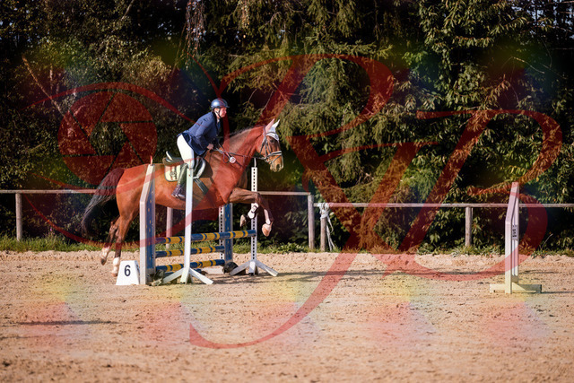 2026_10_03_Siefer-Hof_160653_Z81_88722938 | Professionelle Reitsport-, Turnier- und Eventfotografie von Robert Broda. Galerien mit ausgewählten und bearbeiteten Bildern direkt online ansehen und bestellen.
