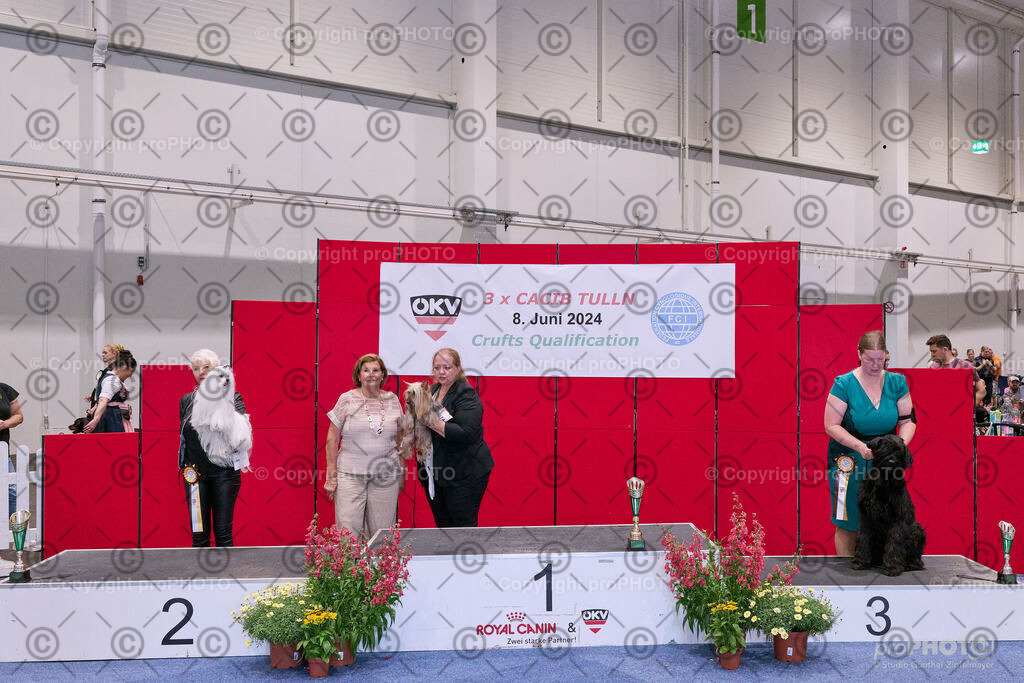 202406_ÖKV-IHA-Tulln24_NZ9_8620 | proPHOTO - Realisiert mit Pictrs.com