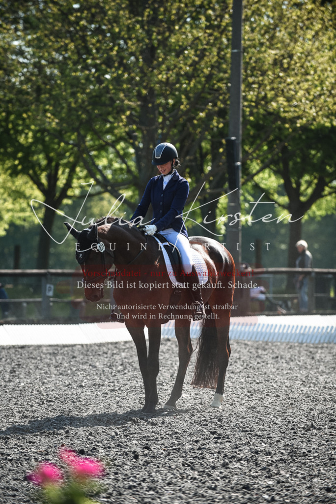 DSC_8768 | Pferde- und Turnierfotografie in Westsachsen. Pferdeportraits, Auftragszeichnungen und intuitive Kunst.