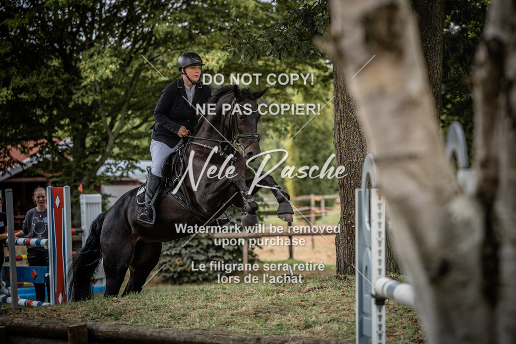 nelerasche_AmmDerbyEde_44 | nelerasche