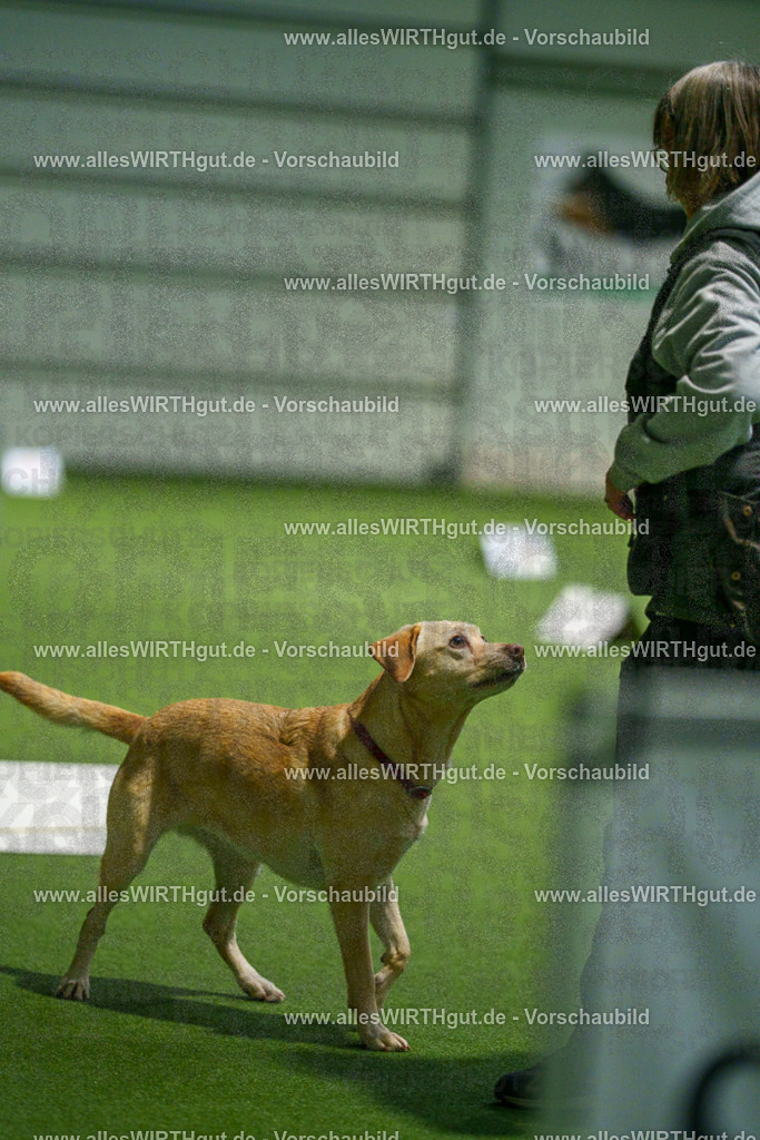 7R504673 | Professionelle Tierfotografie in Mönchengladbach von Daniel Wirth (allesWIRTHgut). Liebevolle & natürliche Bilder von Hunden & Katzen für unvergessliche Erinnerungen.