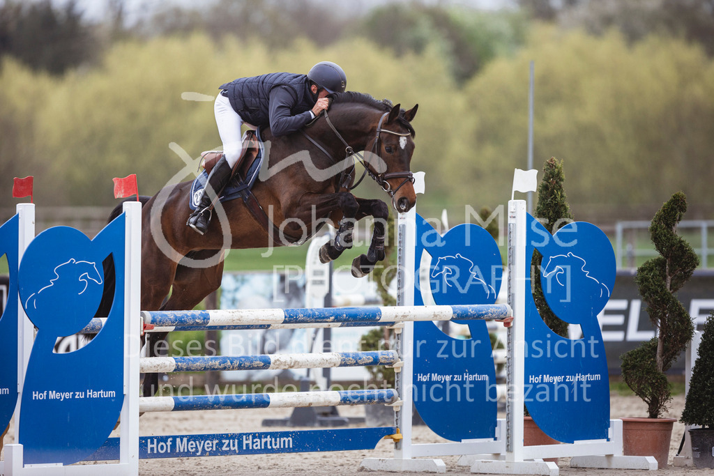 250417_Springpferde-L1-286 | Deine schönsten Turniermomente als professionelle Fotos! Entdecke hochwertige Pferdesport-Fotografie im Online-Shop. Jetzt Fotos finden & bestellen!