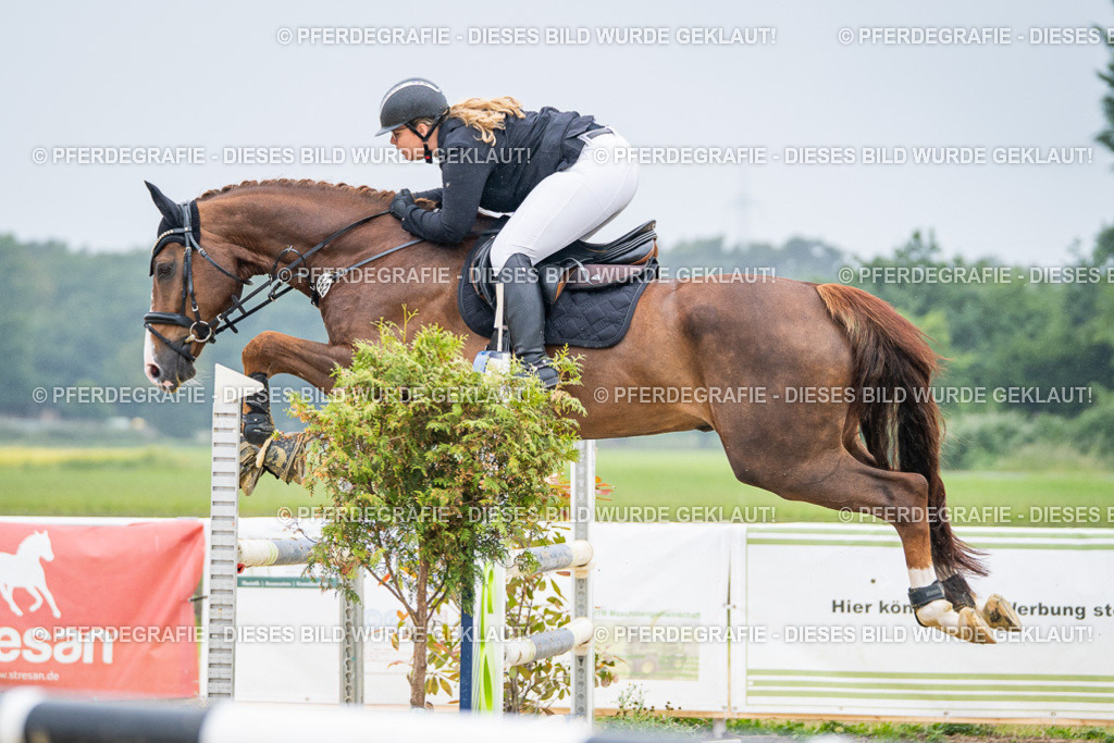 DSC01647 | Pferdegrafie