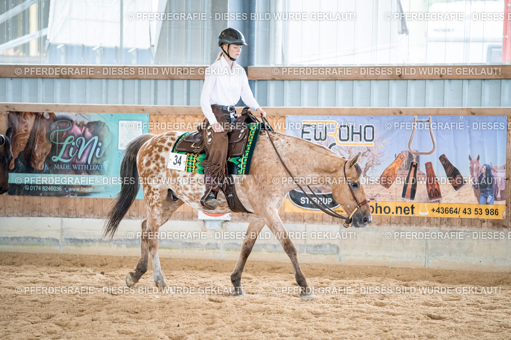 DSC01235 | Pferdegrafie