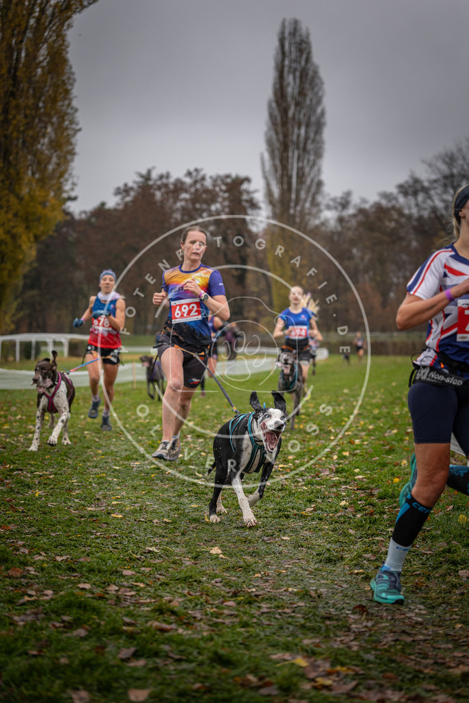 CaniXpix_DV3A9041 | Hundefotografie, Tierfotograf, Pfotenfotografie, Fotoshooting Hund, Hunde Portrait, Hundesport, Hundeportraits, Heideshooting, Hunde, Sportfotograf, Hundefotograf, Turnierhundsport, THS,  - Realisiert mit Pictrs.com