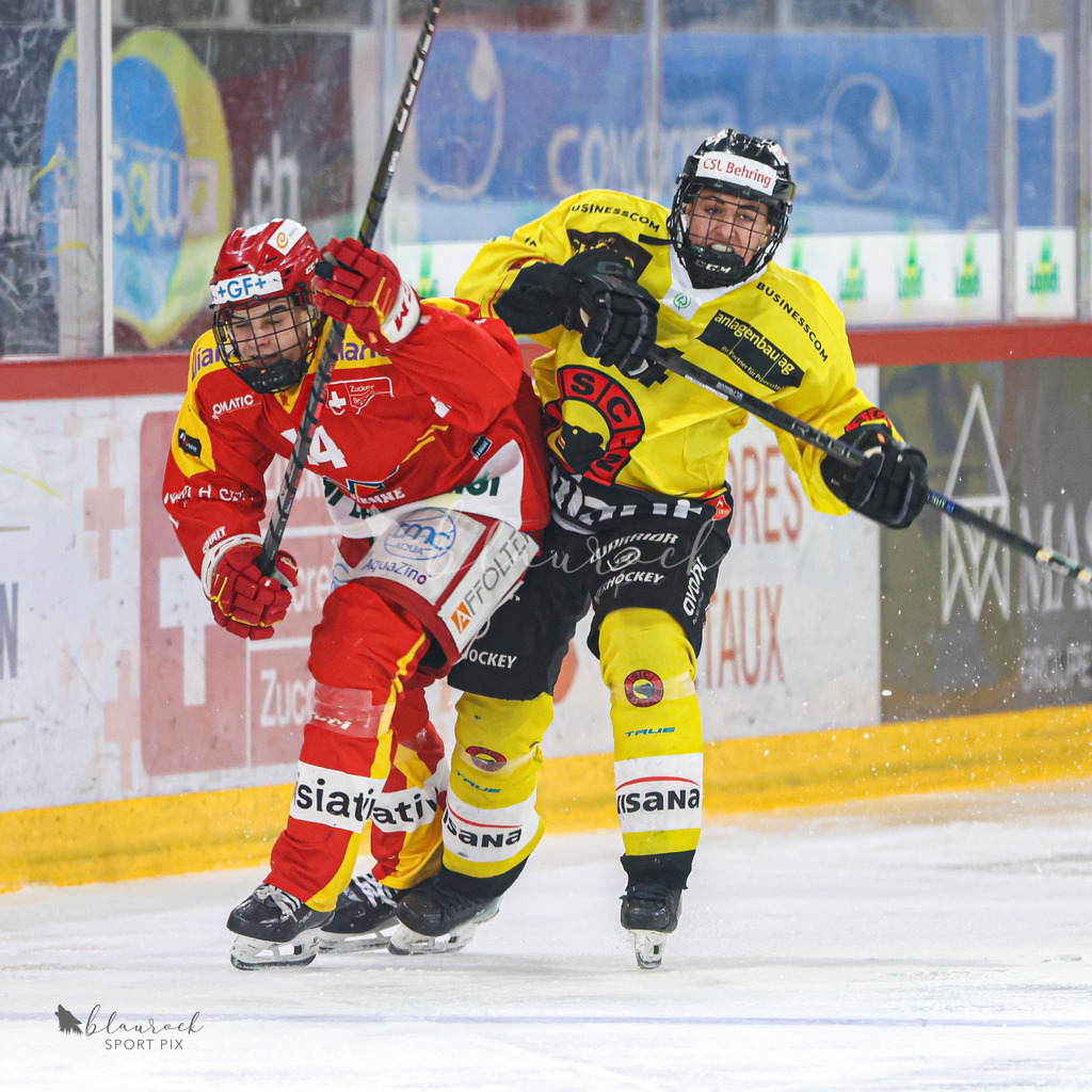 EHC Biel-Bienne vs SC Bern - 22. December 2024 | EHC Biel-Bienne vs SC BernTissot Arena, Biel-BienneBild: Waltraud Blaurock | Blaurock Pix