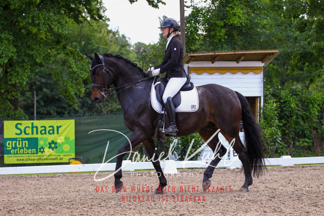 DKP41159 | Turnierfotos kaufen im Webshop von Daniel Kuhl Photography – entdecke professionelle Reitsportfotos aus Turnieren & Events. Hochwertige Turnierbilder online bestellen & sichern. Jetzt Fotos von Reitsportturnieren kaufen!