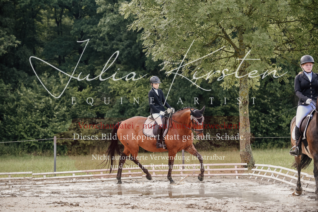 DSC_8219 | Pferde- und Turnierfotografie in Westsachsen. Pferdeportraits, Auftragszeichnungen und intuitive Kunst.