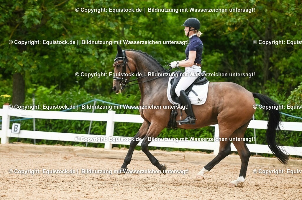 20230716_01_Dressurprüfung Kl.M_0438 | equistock