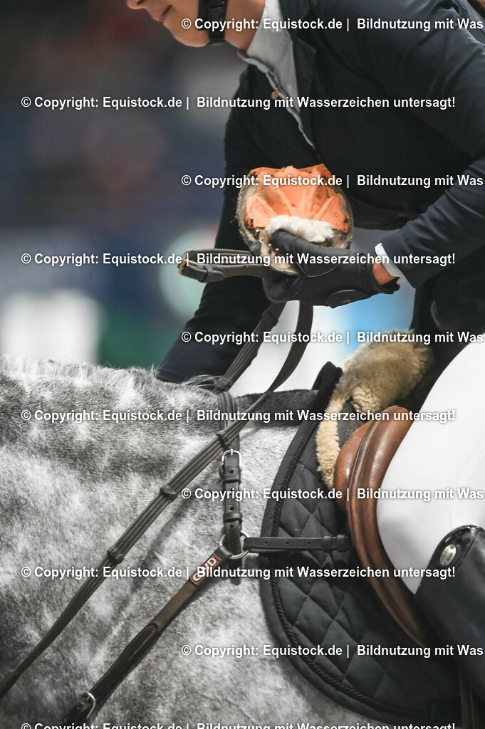 20231116_PREIS DER BARDUSCH GMBH_0174_TOMsPiC | Foto: Thomas Hartig