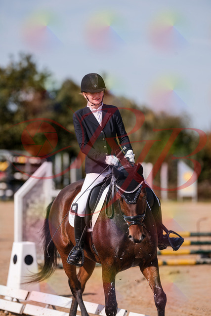 2026_10_03_Siefer-Hof_125744_Z81_46586799 | Professionelle Reitsport-, Turnier- und Eventfotografie von Robert Broda. Galerien mit ausgewählten und bearbeiteten Bildern direkt online ansehen und bestellen.